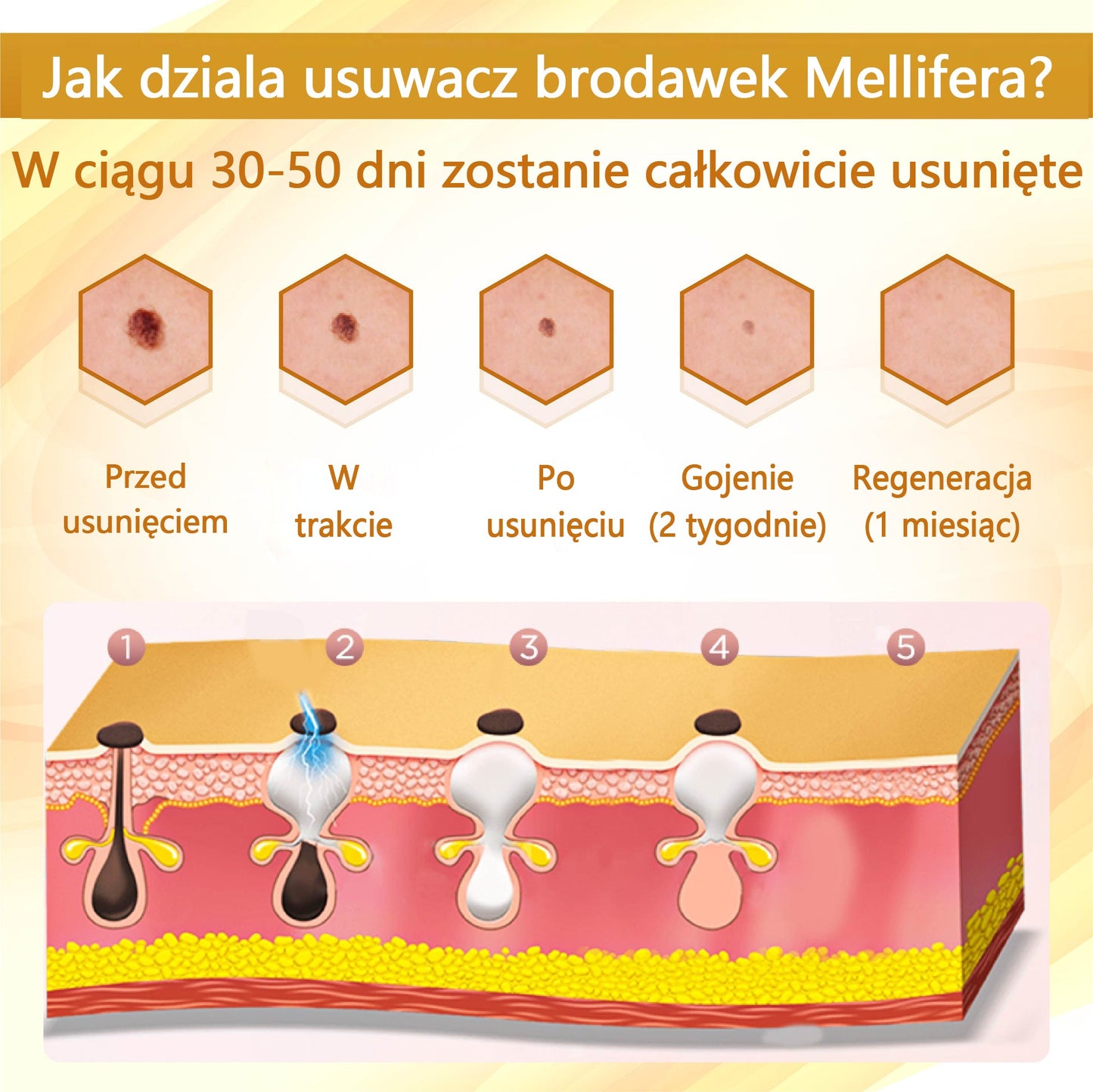 Krem regenerujący skórę Croaie® condense mellifera  🌻